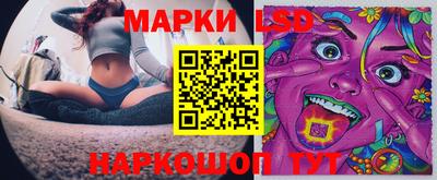 гидра Братск