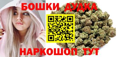 гидра Братск