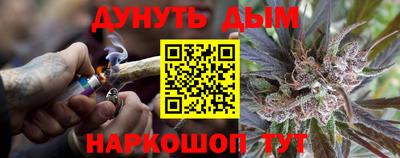 гидра Братск
